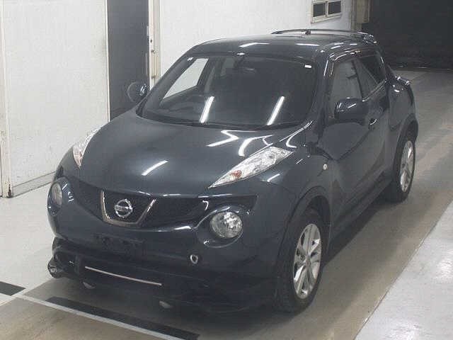 Nissan JUKE 2011 7302176-4
