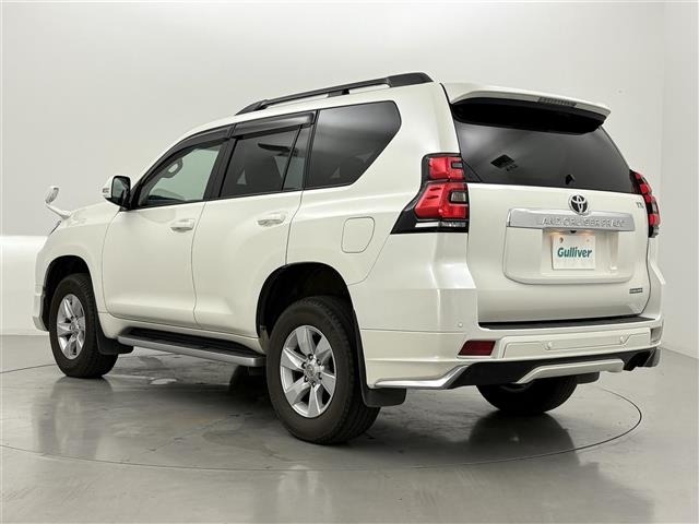 Toyota LAND CRUISER PRADO 2023 7310376-13