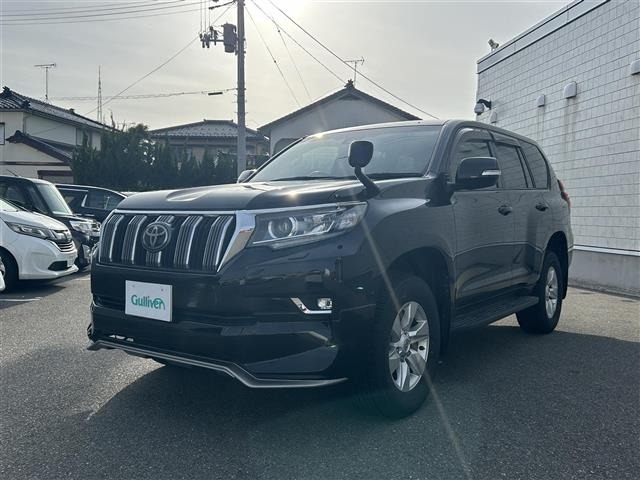 Toyota LAND CRUISER PRADO 2018 7310957-17