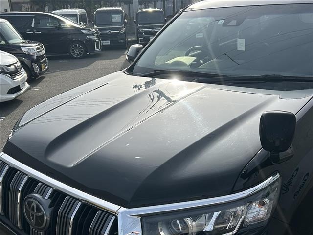 Toyota LAND CRUISER PRADO 2018 7310957-8