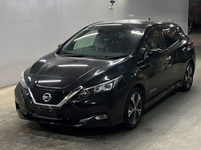 Nissan LEAF 2018 7314737-0