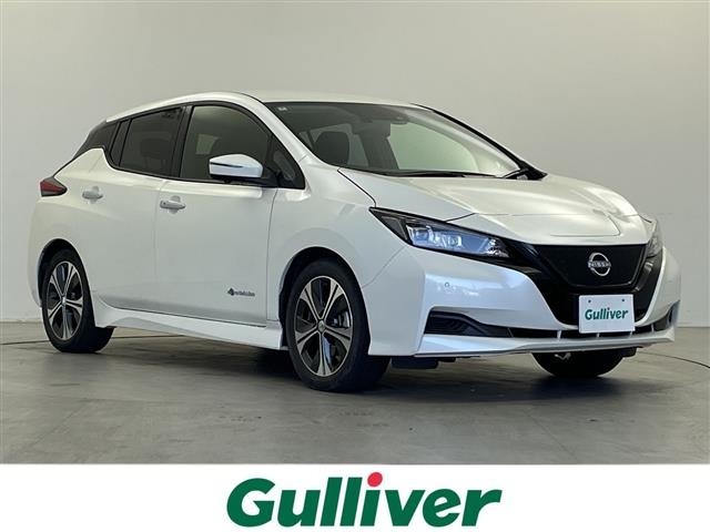 Nissan LEAF 2022 7314813-0