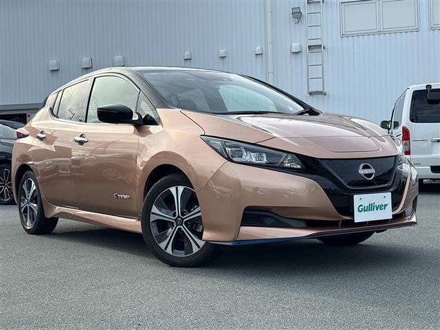 Nissan LEAF 2021 7314814-0