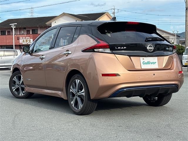 Nissan LEAF 2021 7314814-13