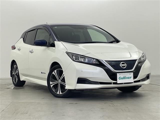 Nissan LEAF 2018 7314822-0