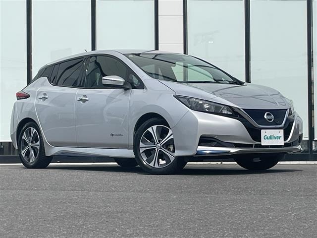 Nissan LEAF 2017 7314850-0