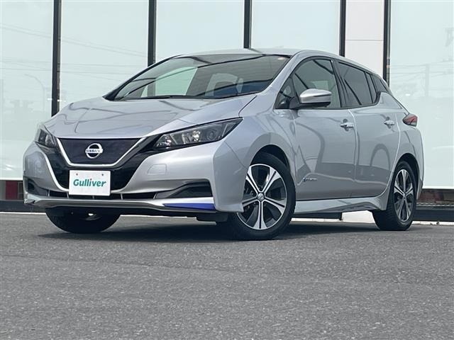 Nissan LEAF 2017 7314850-9