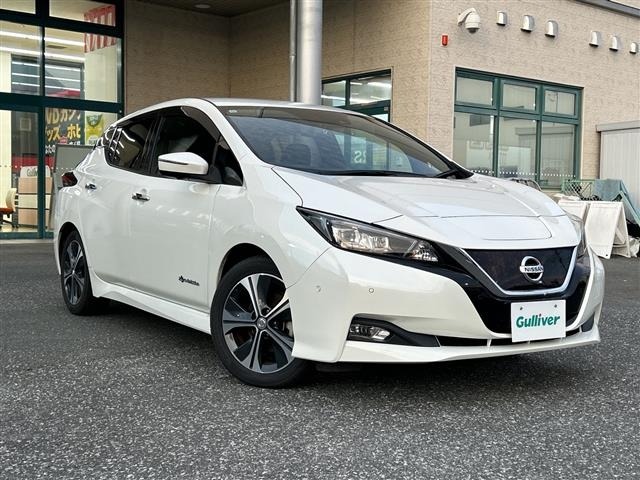 Nissan LEAF 2017 7314851-0
