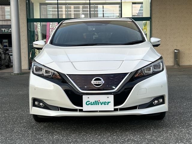 Nissan LEAF 2017 7314851-2