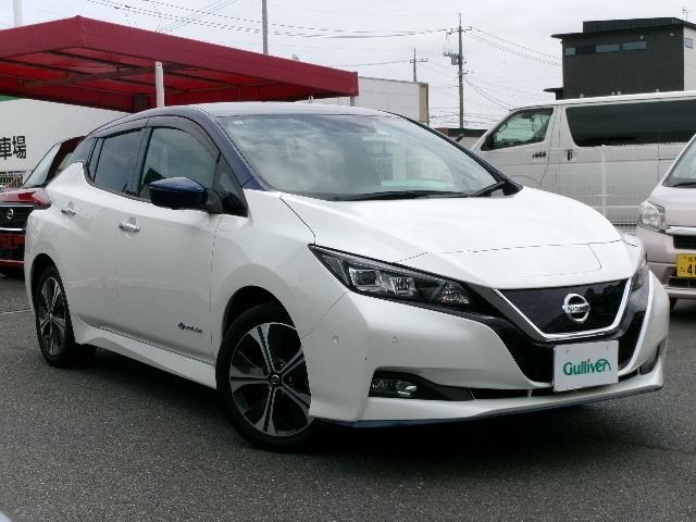Nissan LEAF 2019 7314859-0
