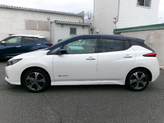 Nissan LEAF 2019 7314859-1