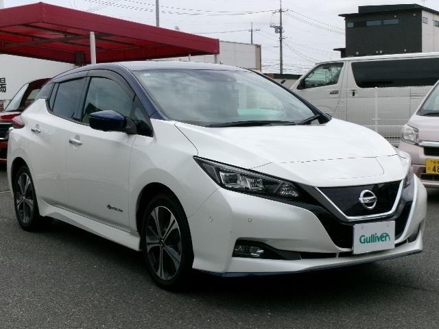Nissan LEAF 2019 7314859-15