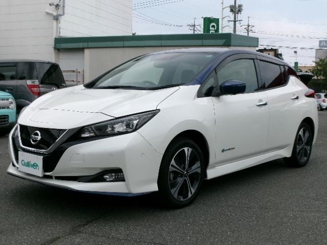 Nissan LEAF 2019 7314859-17