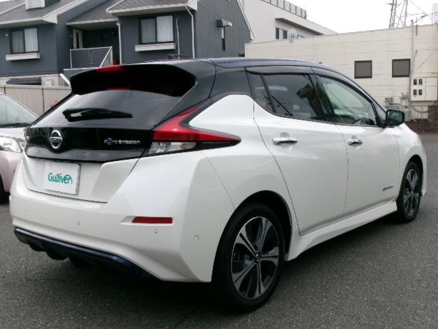 Nissan LEAF 2019 7314859-18