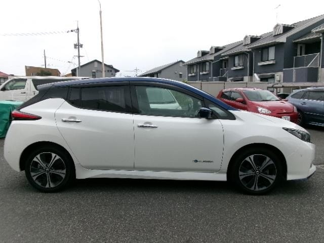 Nissan LEAF 2019 7314859-19