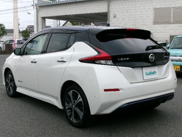 Nissan LEAF 2019 7314859-3