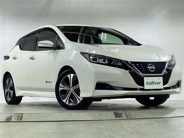 Nissan LEAF 2018 7314860-0