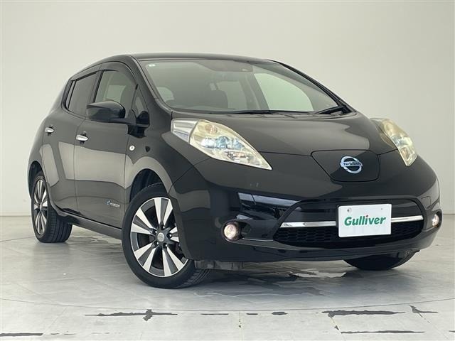 Nissan LEAF 2016 7314861-0