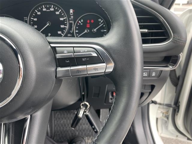 Mazda MAZDA3 2021 7305906-5