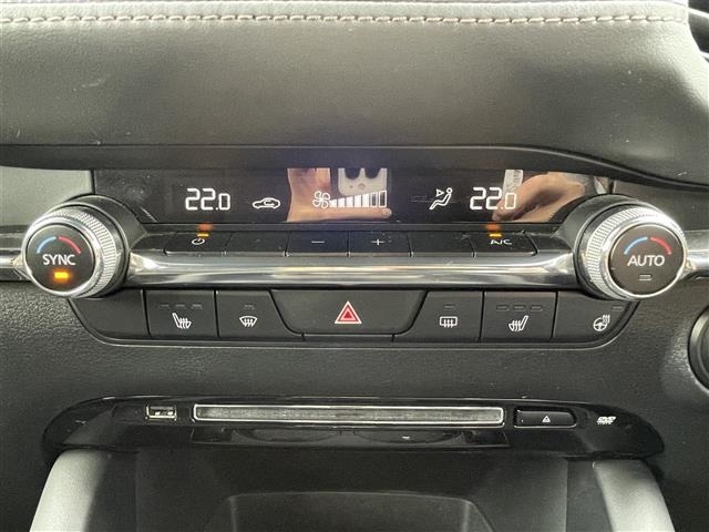 Mazda MAZDA3 2019 7305973-17