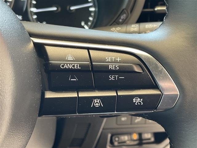 Mazda MAZDA3 2024 7305974-7