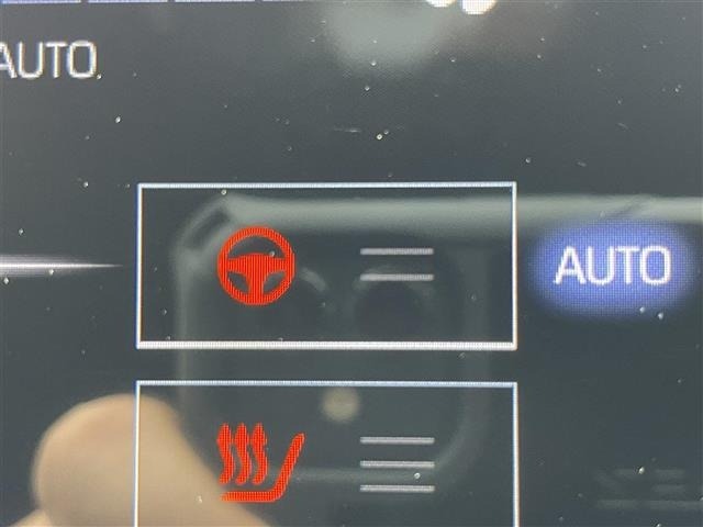 Toyota CROWN 2019 7317014-10