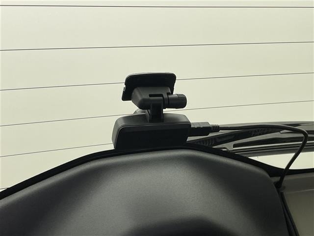 Suzuki LAPIN 2022 7319987-21