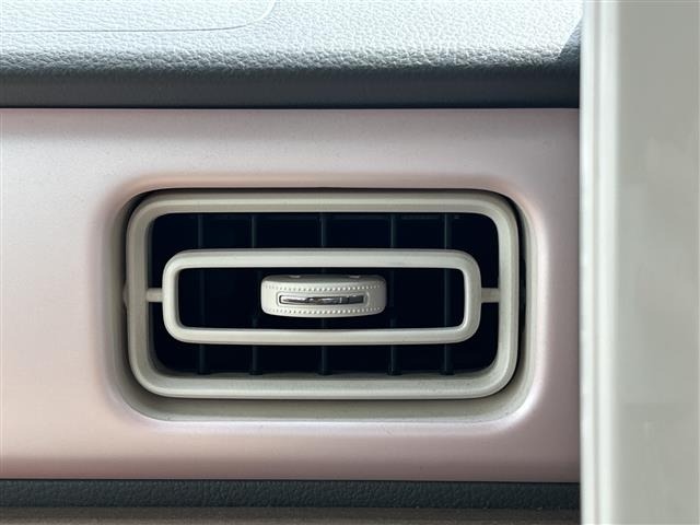 Suzuki LAPIN 2015 7320055-11
