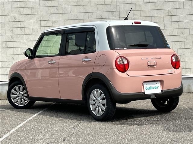 Suzuki LAPIN 2015 7320055-13