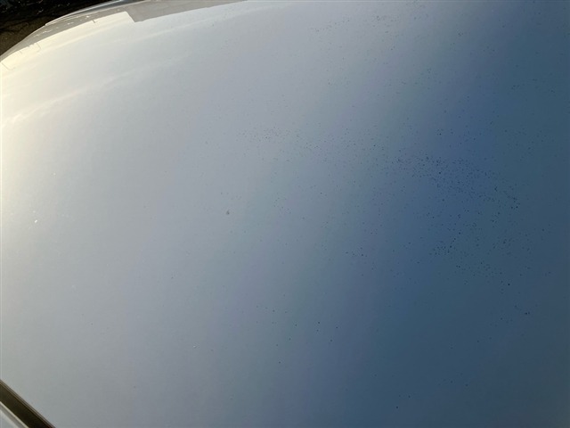 Daihatsu MOVE 2019 7337921-11
