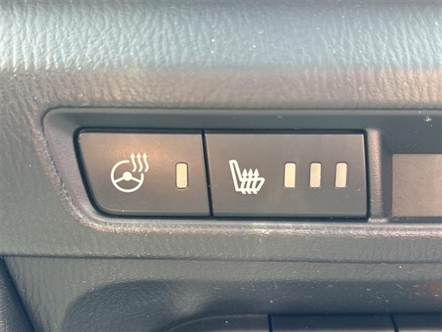 Mazda AXELA 2017 7361750-11