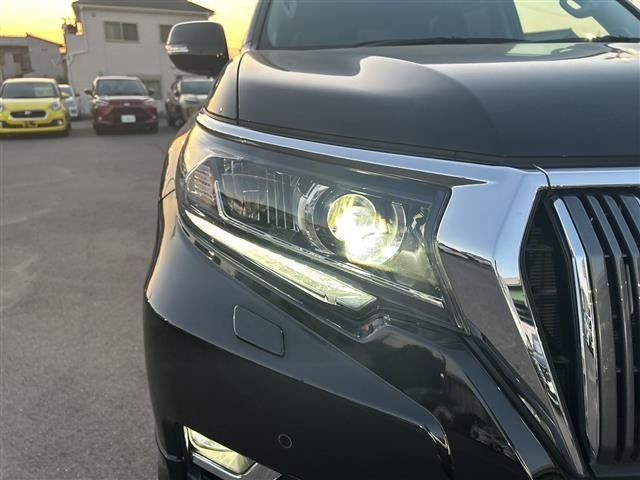 Toyota LAND CRUISER PRADO 2023 7353369-12