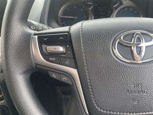 Toyota LAND CRUISER PRADO 2023 7353521-24