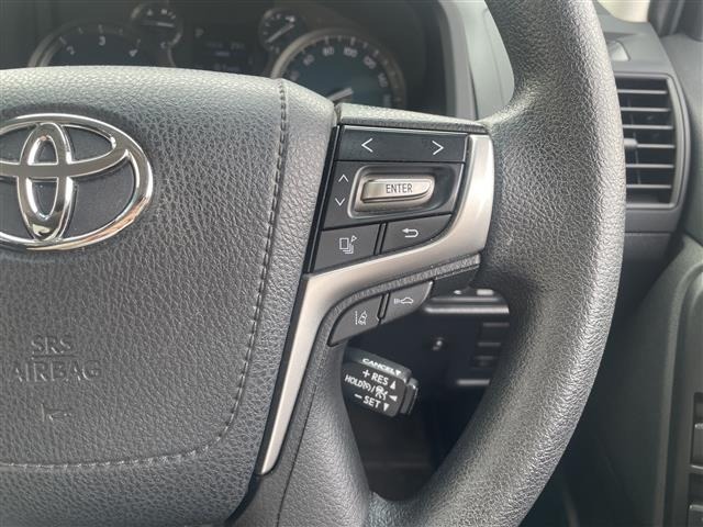 Toyota LAND CRUISER PRADO 2023 7353521-25
