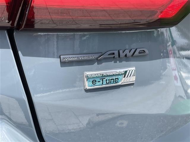 Subaru LEVORG 2023 7353030-5