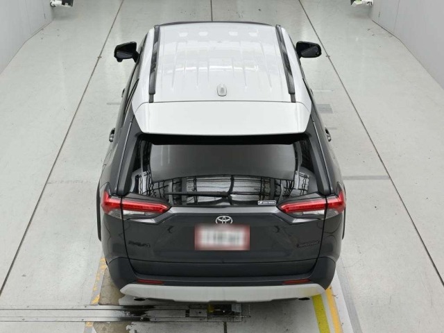 Toyota RAV4 2019 7356565-8