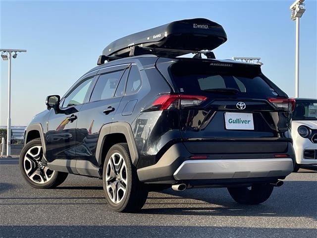 Toyota RAV4 2019 7360863-13