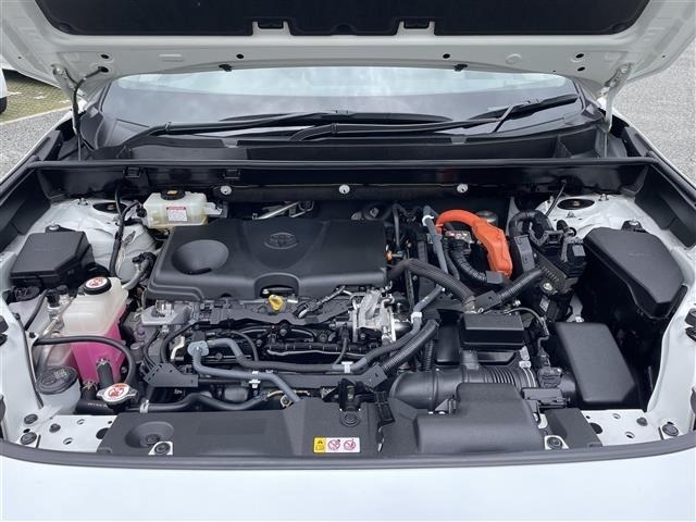 Toyota RAV4 2019 7360953-14