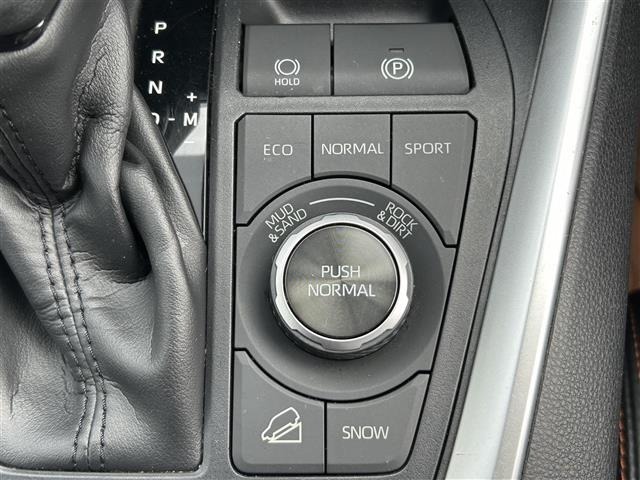 Toyota RAV4 2019 7360960-10