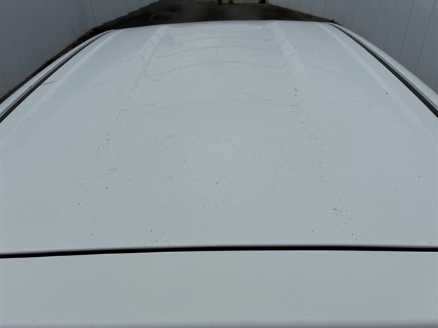 Suzuki ALTO 2016 7363194-10