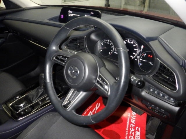 Mazda CX-30 2020 7362658-3
