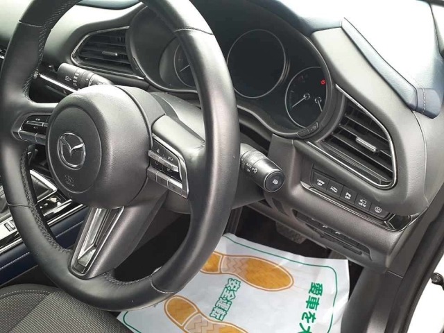 Mazda CX-30 2021 7362671-9