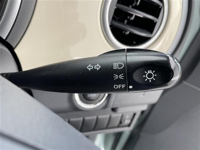 Suzuki LAPIN 2009 7363254-8
