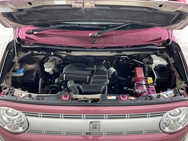 Suzuki LAPIN 2015 7363311-15