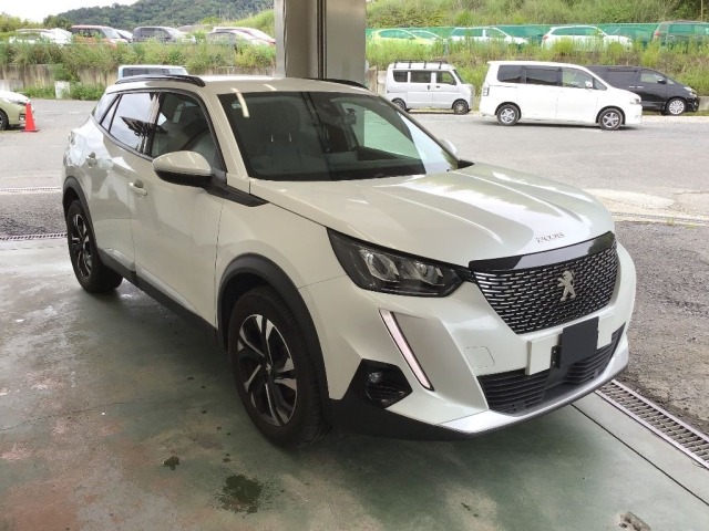 Peugeot 2008 2021 7379071-3