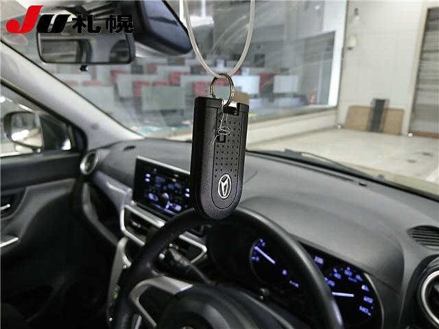 Daihatsu CAST 2019 7398619-6