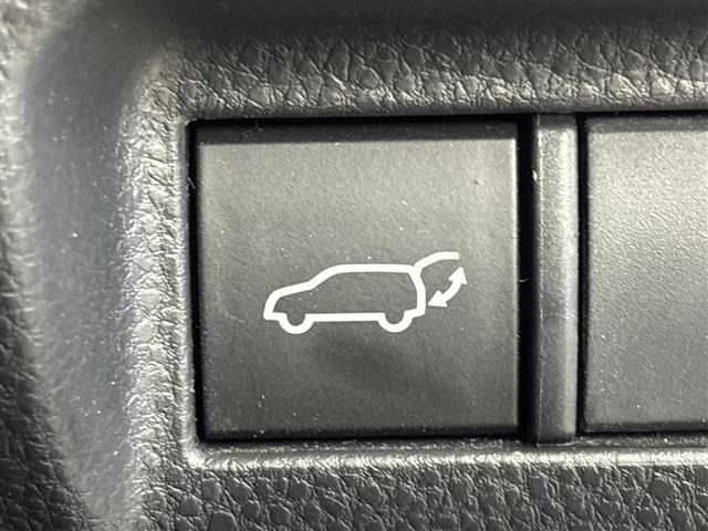 Toyota HARRIER 2022 7413251-21