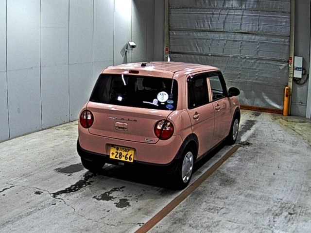 Suzuki LAPIN 2017 7400977-5