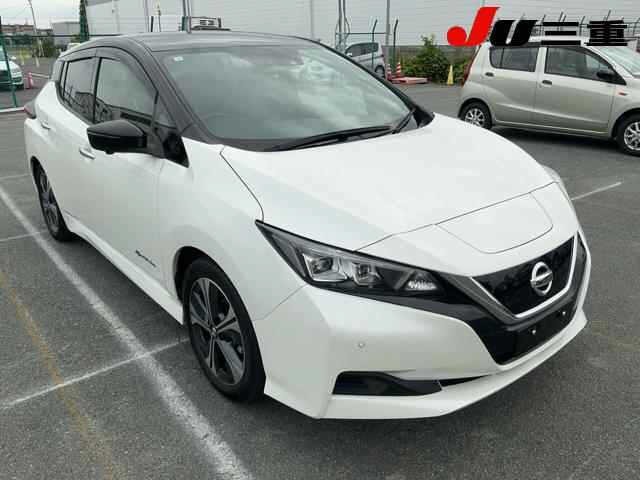 Nissan LEAF 2021 7389862-0