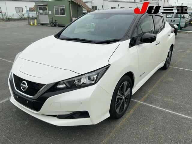 Nissan LEAF 2021 7389862-9